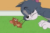 Tom i Jerry znów rozrabiają w Boomerangu