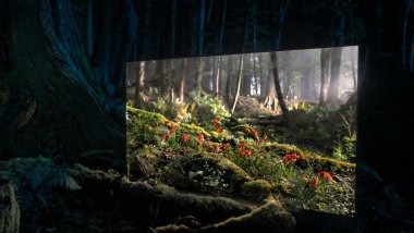 Sony AF8 telewizor rozswietla las