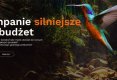 Czy w dobie AI potrzebne są domy mediowe?