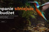 Czy w dobie AI potrzebne są domy mediowe?