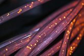 Internet Myślenice - szybkie łącze dopasowane do potrzeb mieszkańców