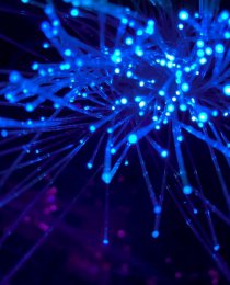 Intranet na SharePoincie, WordPressie czy dedykowanym CMS-ie? Analiza kosztów i korzyści dla polskiej firmy