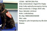 # Kolejny pies specjalistyczny od Vectry dla osoby niepełnosprawnej
